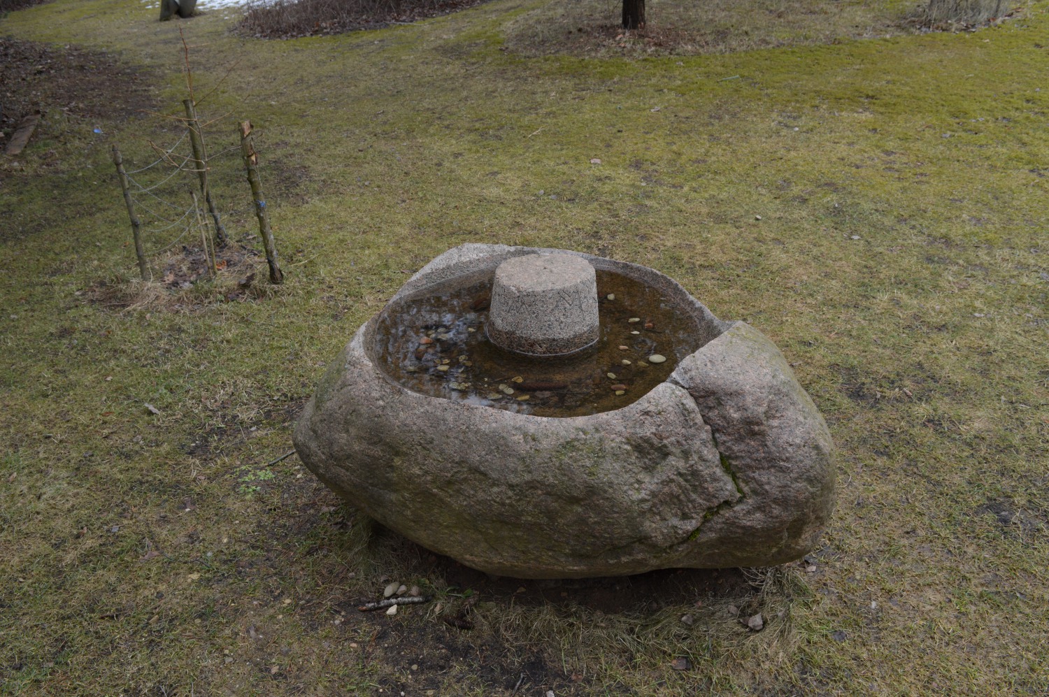 Pagoniško akmens simbolis